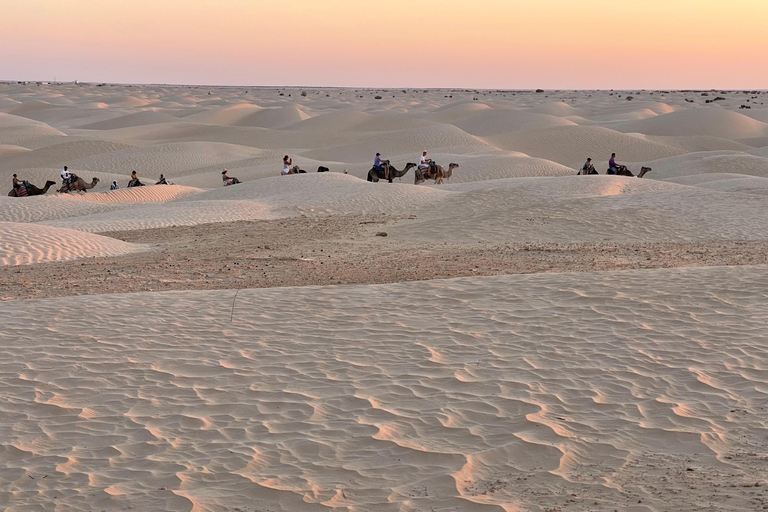 Sahara Expedition : Camel Trekking and Bivouac for 2 Nignts