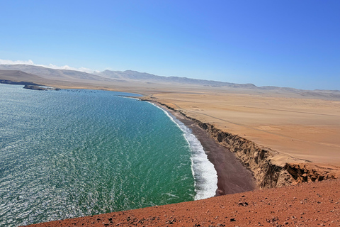 Premium Trekking in Paracas National Reserve Premium Trekking in the Paracas National Reserve