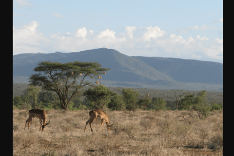 Tagestour zum Mount Longonot National Park von Nairobi aus.Tagestour zum Mt. Longonot Park von Nairobi aus.