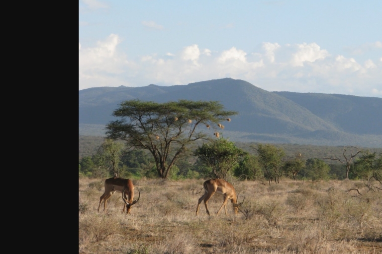 Tagestour zum Mount Longonot National Park von Nairobi aus.Tagestour zum Mt. Longonot Park von Nairobi aus.
