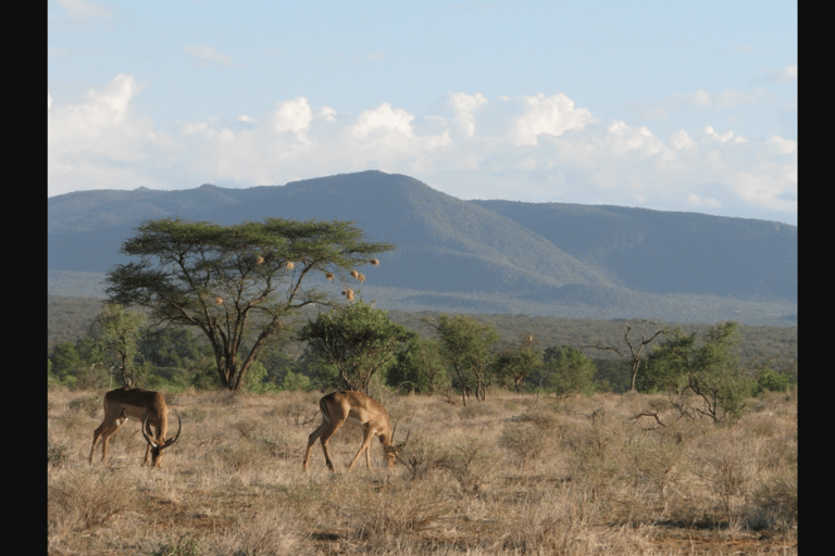 Tagestour zum Mount Longonot National Park von Nairobi aus.Tagestour zum Mt. Longonot Park von Nairobi aus.