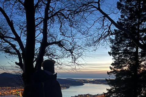 Bergen: Aventura nocturna de inverno - Caminhada com lanterna de cabeça