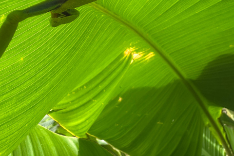 From San José: 3-Day Costa Rica Volcanoes & Waterfalls Tour
