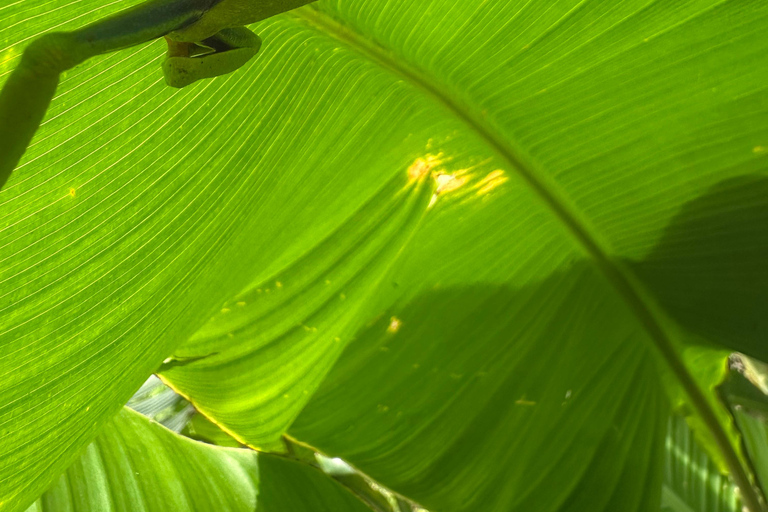 From San José: 3-Day Costa Rica Volcanoes & Waterfalls Tour
