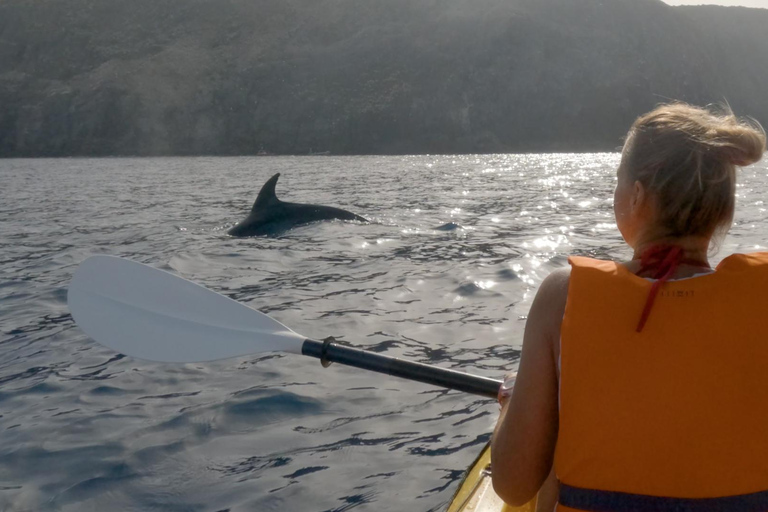 Tenerife: Kayak & Snorkeling Tour - Small Groups