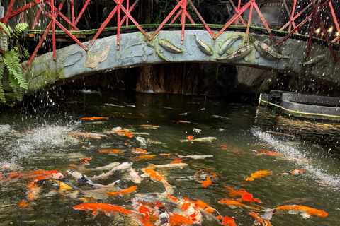 Chiang Mai: Instagrammable plekken voor een halve dag