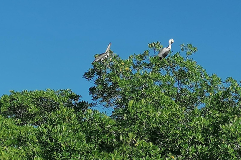 EXCURSIE*** (GRAND-CUL-DE-SAC-MARIN voeten in het water)