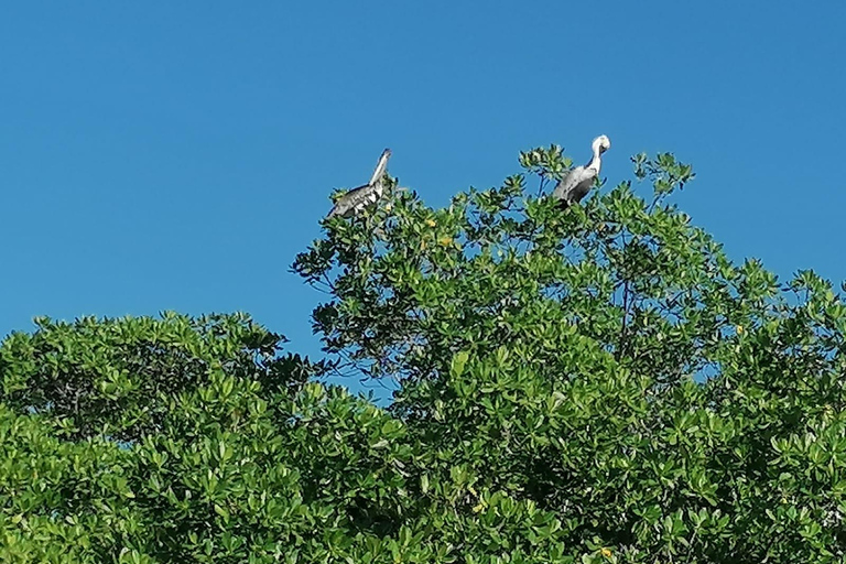 EXCURSIE*** (GRAND-CUL-DE-SAC-MARIN voeten in het water)