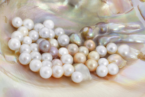 La Paz: Pearl Farm Experience and shop