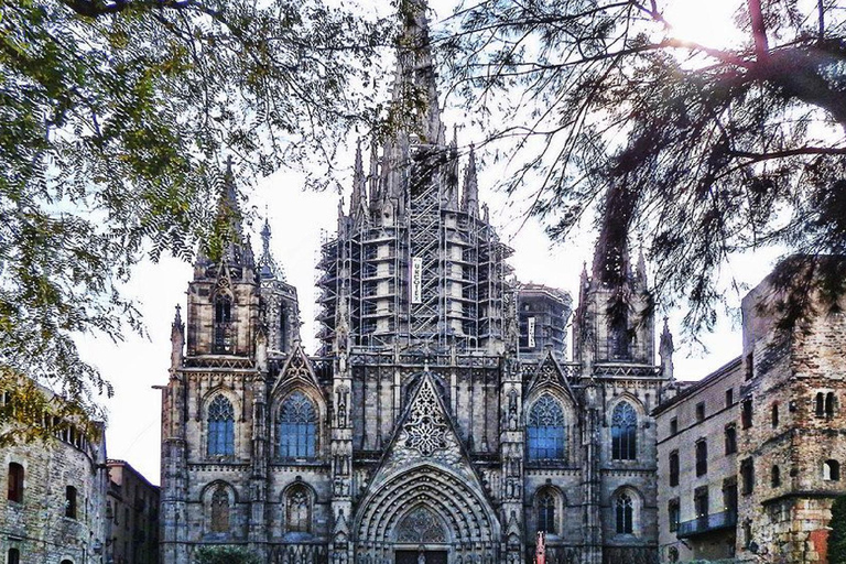 Barcelona Cathedral: Exclusive walking tour & entry tickets.