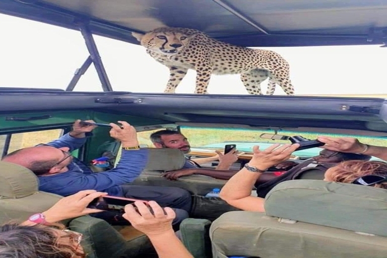Arusha: 4-Day Safari to Tarangire, Serengeti, and Ngorongoro 4Days Tanzania Safari Join Group Tour