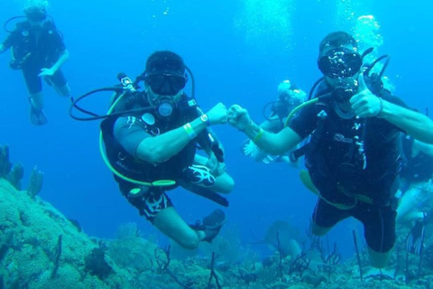 Scuba Diving at Catalina Island - 2 Tanks / 2 Spots