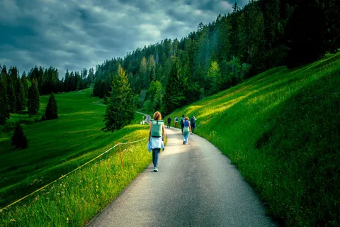 Unterseen: Alpine Cheese Farm Visit & Cheesemaking