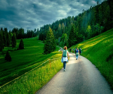 Unterseen: Alpine Cheese Farm Visit & Cheesemaking