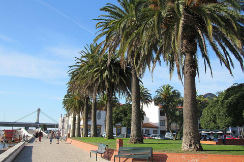 From Porto: Aveiro Boat, Paiva Suspension Bridge & Walkways Meeting Point