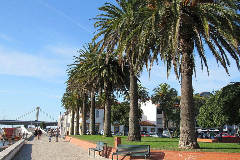 From Porto: Aveiro Boat, Paiva Suspension Bridge & Walkways Meeting Point