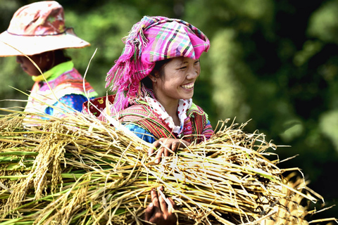 Mu Cang Chai 2 Days Tour Trekking Terraced Rice Field