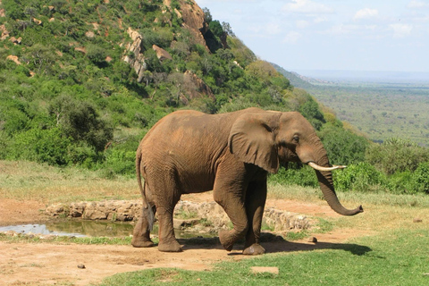 Mombasa: 3-Day Tsavo East/West & Kilimanjaro Views Safari