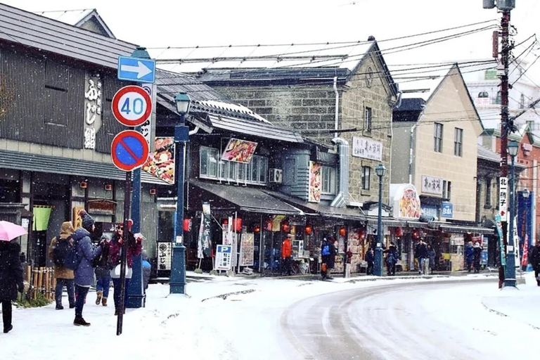 From Sapporo:Otaru Canal&Coastal Charm Private Customiz Tour MAX 9PAX