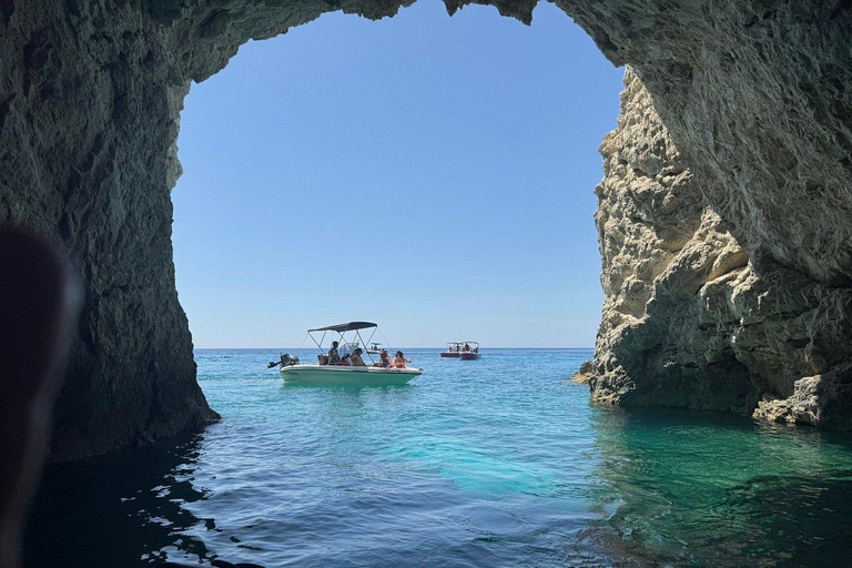 Zakynthos: Small Group Turtle Tour with Swim Stops