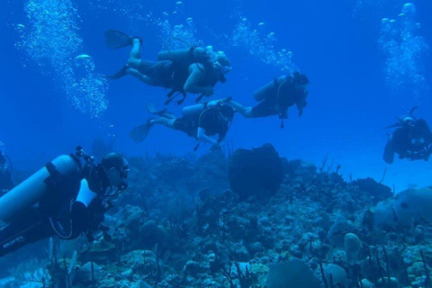 Private: Punta Cana Coral Reef Scuba Experience