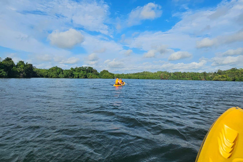 Hikkaduwa: Rathgama Lagoon Kayaking and Fish Therapy Tour