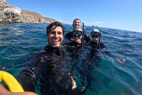 La Paz: Whale Shark, Sea Lions & Balandra Tour