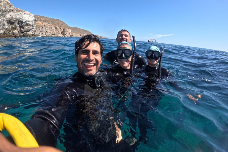 La Paz: Whale Shark, Sea Lions & Balandra Tour