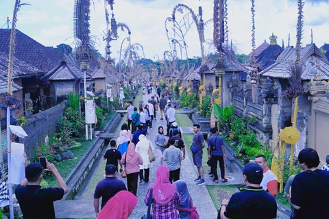 Découvrir Ubud, le village de Penglipuran et les chutes d&#039;eauDécouverte d&#039;Ubud pour un petit groupe