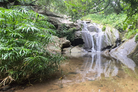 Esplora le cascate iconiche di Ella con un&#039;avventura panoramica in tuk-tuk