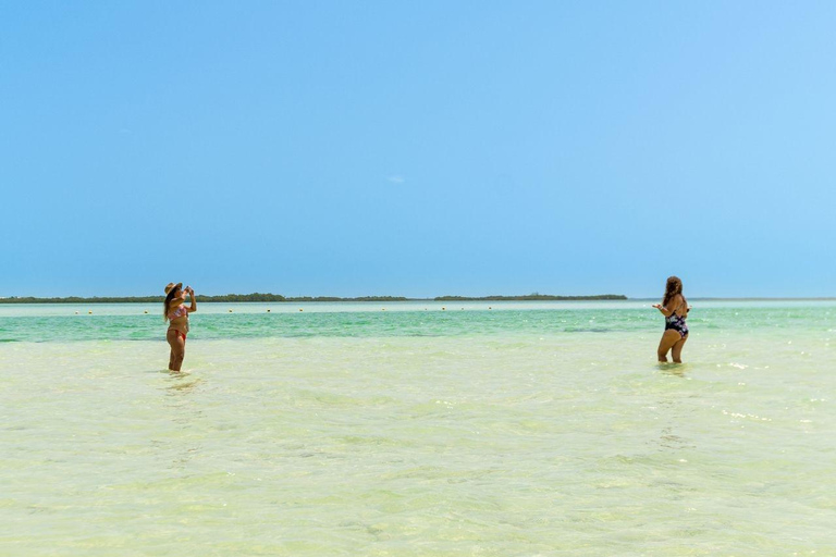 Holbox: Excursão de 1 dia à ilha, mergulho no cenote e almoço