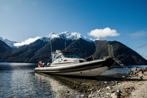 South Fiord, Fiordland: Waterfall Adventure