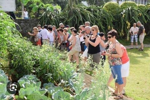 Kandy Top City Sights & Agro Tech Park Visit 4-Hours Tour Kandy Top City Sights visit -01