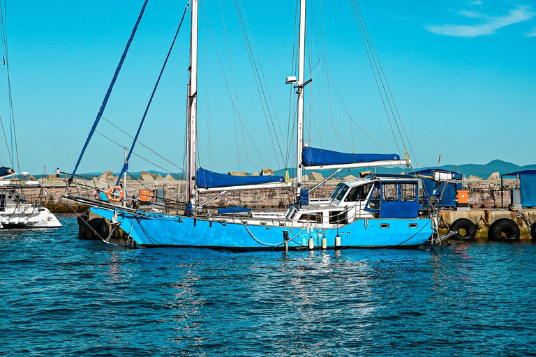 From Cape Town: Half Day Hermanus Whale Watching & Exploring