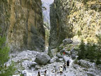 Da Panormo o Lavris: escursione alle gole di Samaria con guida