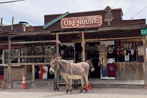 Route 66 Day Tour from Las Vegas: Oatman, Nelson & Kingman