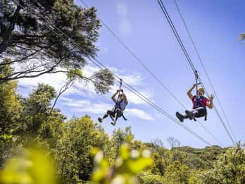 EcoZip: zipline e foresta nativa