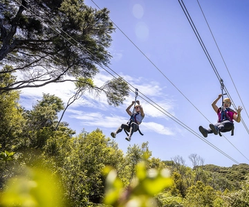 Waiheke Island: Zipline and Native Forest Adventure Trip