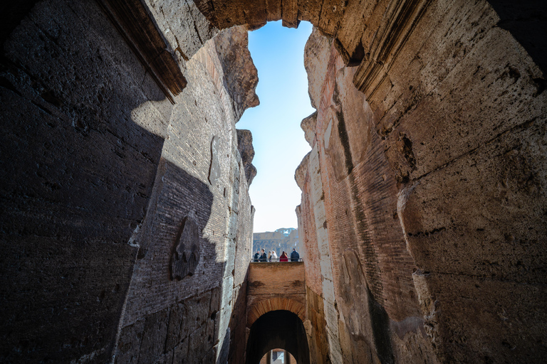 Rome: Colosseum with Arena Floor - Tours & Ticket Options French tour with Arena Floor