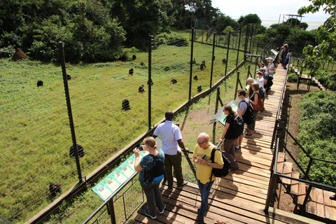 SOJURN DU SANCTUAIRE DE L&#039;OUGANDA : Faites l&#039;expérience du voyage de conservation