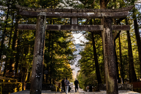 Tokyo: Nikko Kegon Falls Lake Chuzenji Toshogu Temple & More From Tokyo: Nikko Unesco Customised Private Tour In Prado