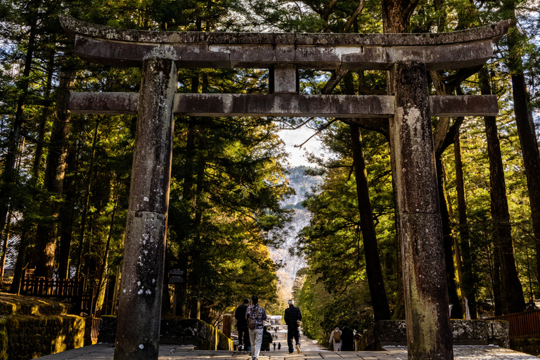 Tokyo: Nikko Kegon Falls Lake Chuzenji Toshogu Temple & More From Tokyo: Nikko Unesco Customised Private Tour In Prado