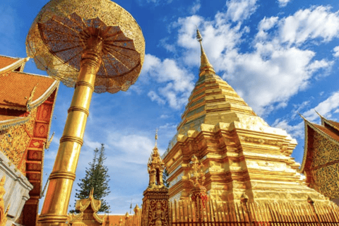 Chiang Mai: Hmong Village, Doi Suthep and Wat Pha Lat Trek