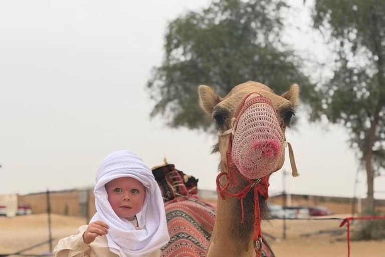 From dubai:Lahbab desert dinner combo tour with guide 5 Star dinner in dessert without dune bashing shared tour