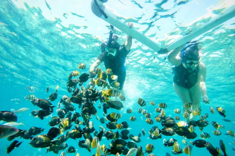 Lombok: Private Snorkeling,Gili Trawangan,Gili Meno,Gili Air Start From: Tetebatu/Lembar Port/Gili Mas Port