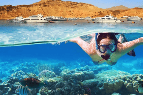Sharm El Sheikh Combo Safari & Ras Mohammed Adventure