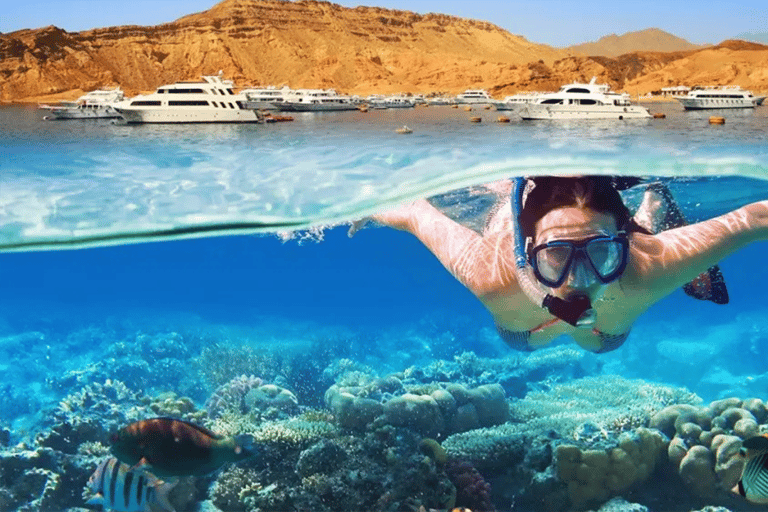 Sharm El Sheikh Combo Safari & Ras Mohammed Adventure