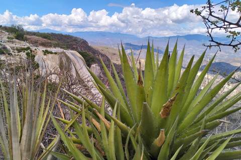 Oaxaca: Excursión de 1 día Xaaga-Hierve el AguaPrecio a partir de 8 personas