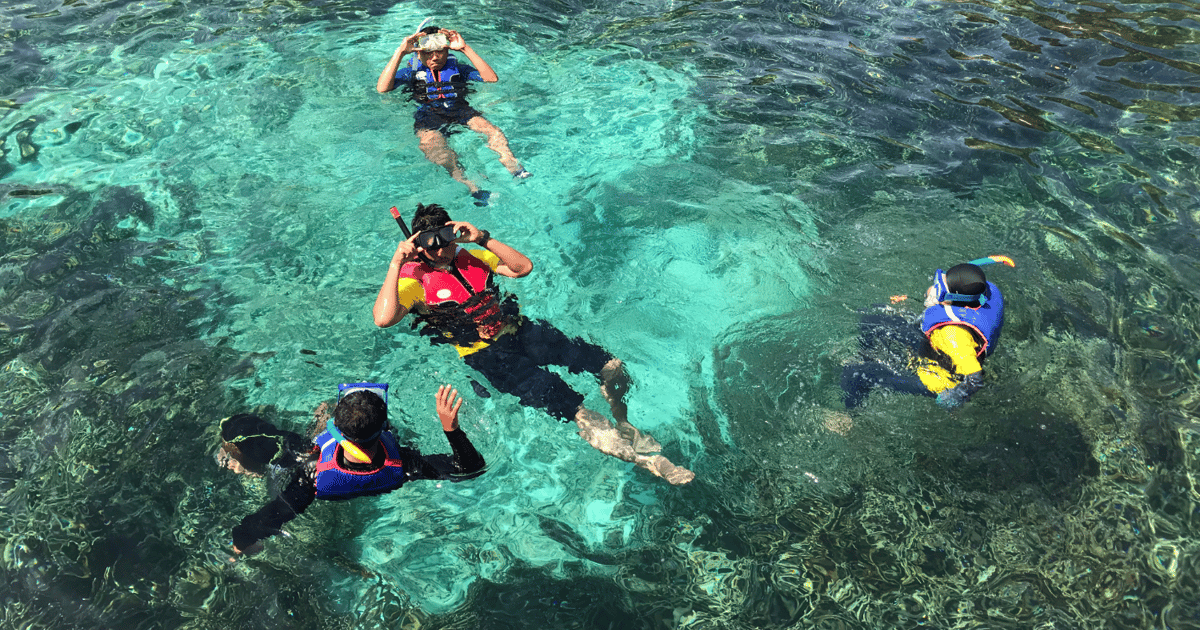 Isla Catalina Excursión de snorkel de día completo GetYourGuide