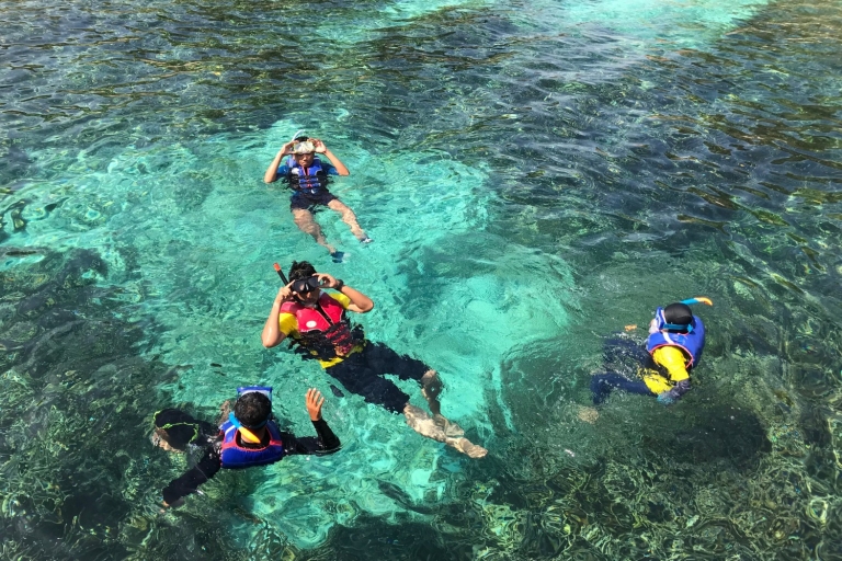 Isla Catalina : Journée de plongée avec masque et tuba